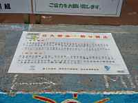 �����֎~�̓\�莆