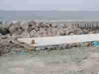 ���͑S�Ċ���