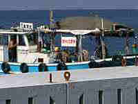 ������ƒ�