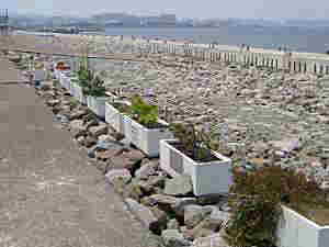 �ω�������