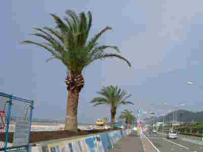 �U�{�̞��q