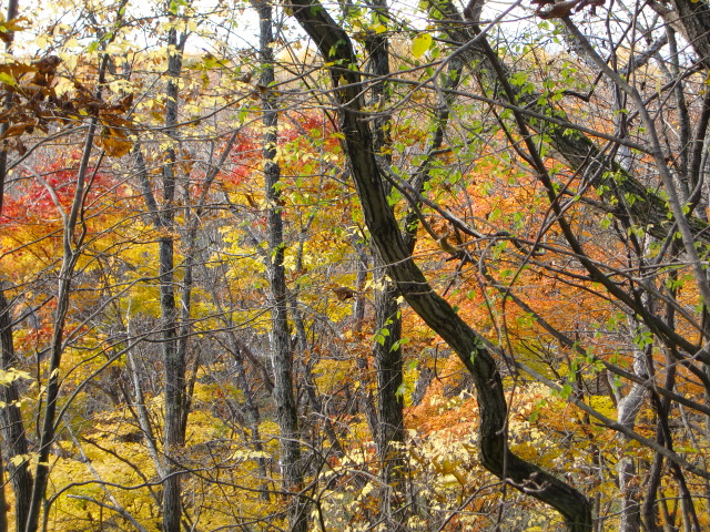 国道141号　旧道添
(10月末)