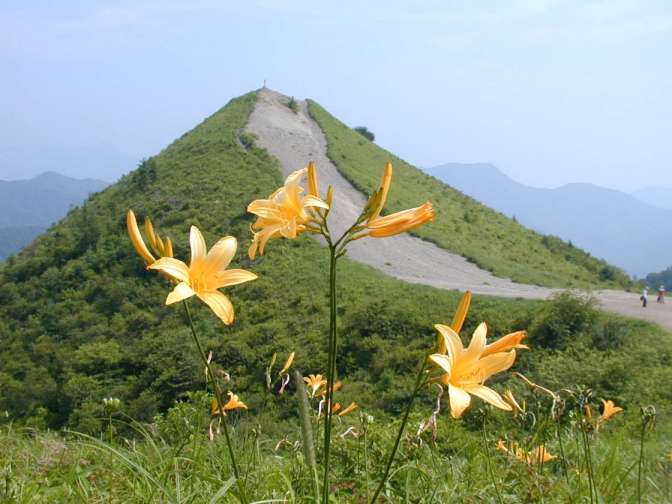 飯盛山
7月初旬から