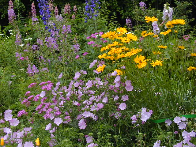 ホルンの庭より