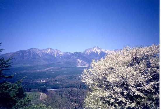やまなしの花と八ヶ岳
（しし岩より）