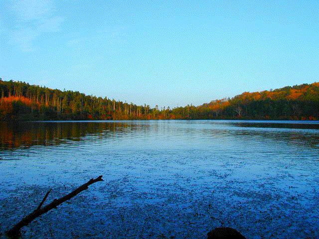 八ヶ岳の瞳、白駒池