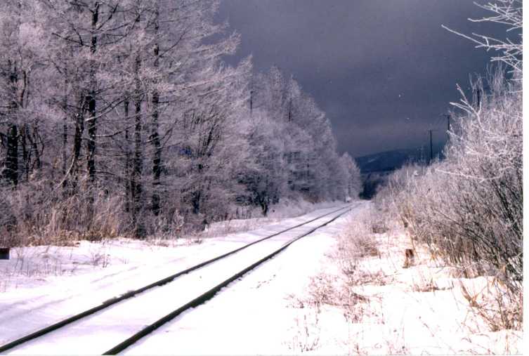 凍原の線路