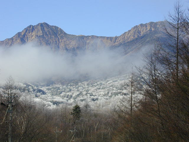 突然の寒気で八ヶ岳の裾野に霧氷が
もうすぐ冬到来だよ
